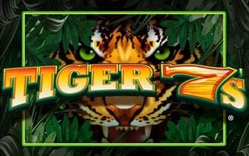 Tiger 7's