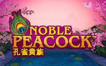 POWER PRIZES - Noble Peacock