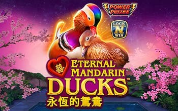POWER PRIZES - Eternal Mandarin Ducks